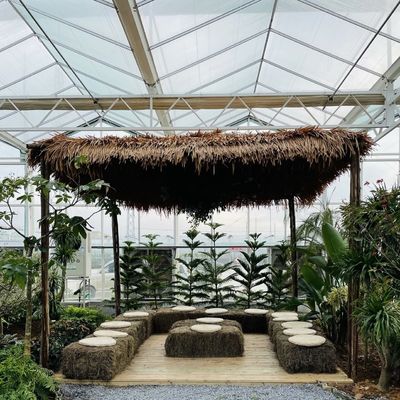 Anforderung Glas Gewächshaus mit Blumensystem und angepasste Dachform