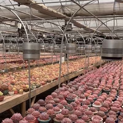Glas Gewächshaus Hydroponik System für Blumen wachsen eine Art Dach kundenspezifische Anfrage