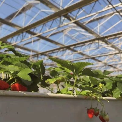 Glas Gewächshaus Hydroponik System für Blumen wachsen eine Art Dach kundenspezifische Anfrage