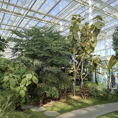 Gewächshaus mit mehreren Spannweiten und einem hohlen Dach aus Glas für den Blumenbau US 20/Quadratmeter Proben