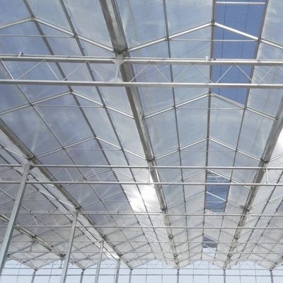 Doppelschicht günstiges Glas Gewächshaus US 20 / Quadratmeter hydroponisches Blumensystem
