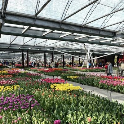 Multi-System Glas Gewächshaus für Blumen Anpassung nach Ihren Vorgaben