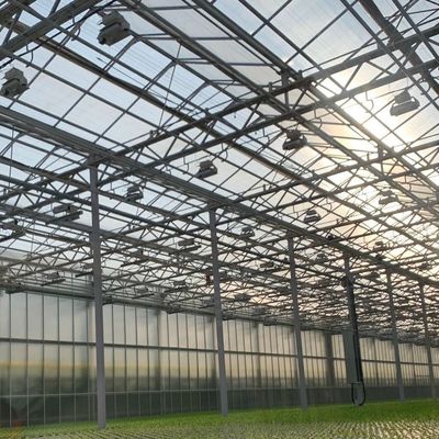 High Light Transmission Glass Hydroponische Anlage für kommerzielle Gewächshäuser mit voller Zahlung