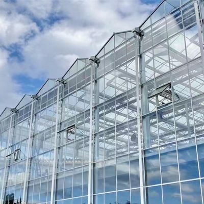 Einlageglas-Gewächshaus für den Gemüsebau Verbessern Sie Ihre Landwirtschaftsleistung
