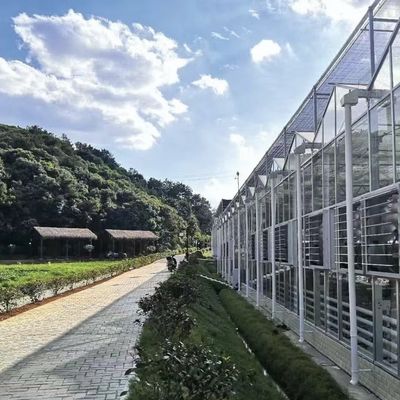 Float-Glas-Gewächshaus für Gemüse Multi-Span Design