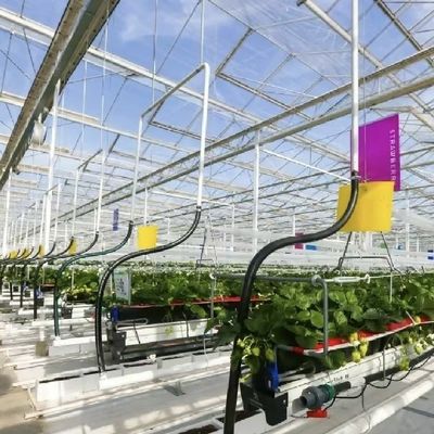 Große Schattierungsglas-Gewächshaus-Hydroponik-System für einen optimalen Anbau