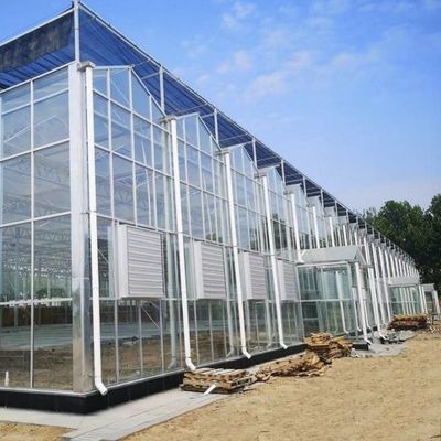 Individuelle Anfrage für Tropfbewässerungsglas Gewächshäuser