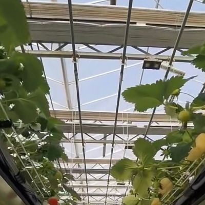 Einrichtung von Glasgewächshäusern mit hydroponischem Gemüseanbau Versandkosten und geschätzte Lieferzeit