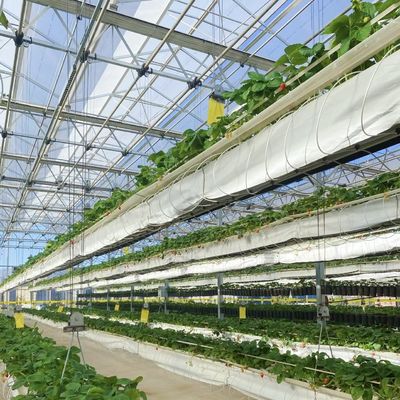 Einrichtung von Glasgewächshäusern mit hydroponischem Gemüseanbau Versandkosten und geschätzte Lieferzeit