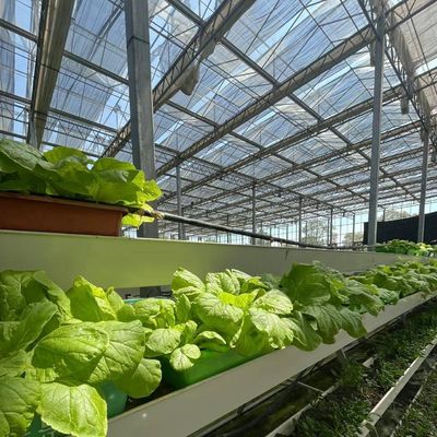 Gewächshaus für hydroponisches Gemüse mit Glasüberdachung mit Schattierungsschirm und Stahlstruktur