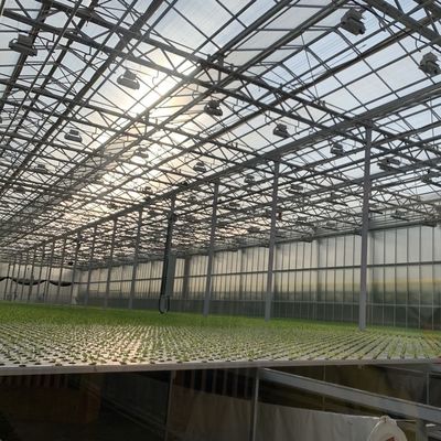 Ein schlankes Glasgewächshaus mit hydroponischem Gemüseanbau erhöht die Effizienz Ihrer Landwirtschaft