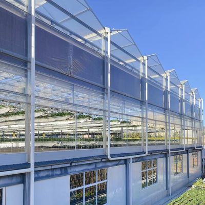 Ein schlankes Glasgewächshaus mit hydroponischem Gemüseanbau erhöht die Effizienz Ihrer Landwirtschaft