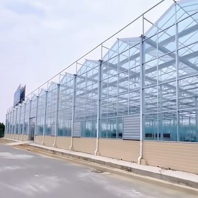 Hydroponisches System Mehrfunktionsglas Gewächshaus JX-A00303 für ein optimales Pflanzenwachstum