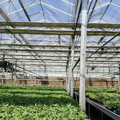 Hydroponisches System Mehrfunktionsglas Gewächshaus JX-A00303 für ein optimales Pflanzenwachstum
