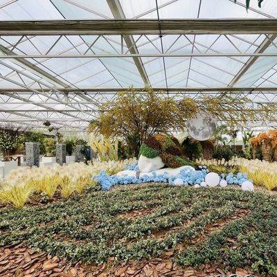 Stahlkonstruktion Glas Gewächshaus für den Pflanzenwuchs Groß und multifunktional