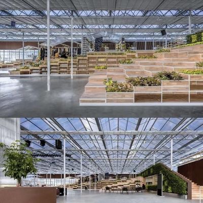 Stahlkonstruktion Glas Gewächshaus für den Pflanzenwuchs Groß und multifunktional