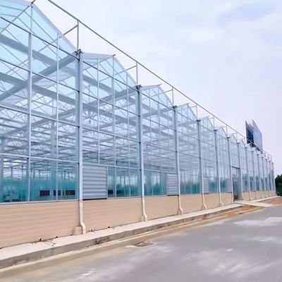 Glasgewächshaus mit hydroponischem Gemüsepaket Bruttogewicht 80.000kg