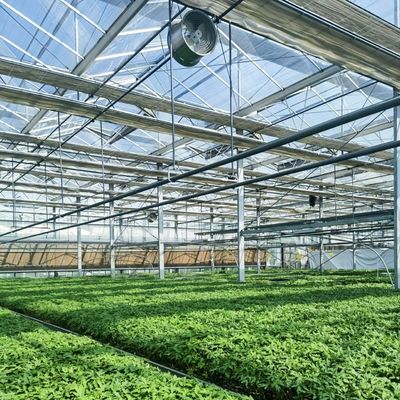 Ein vernünftiges Glasgewächshaushydroponisches System für maximale Raumnutzung