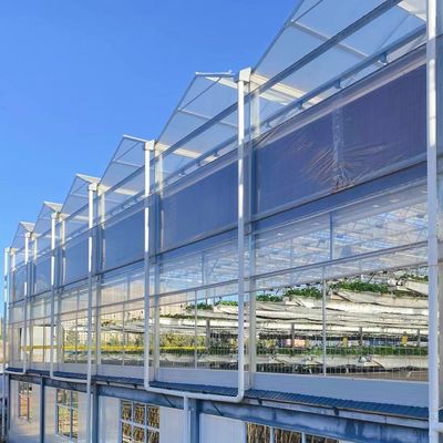 Glasgewächshäuserisches hydroponisches Gemüseanlage für maximale Wassereffizienz