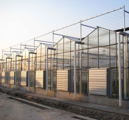 Hydroponik-Glasgewächshaus mit Schattierungsschirm-System Paket Bruttogewicht 80.000kg