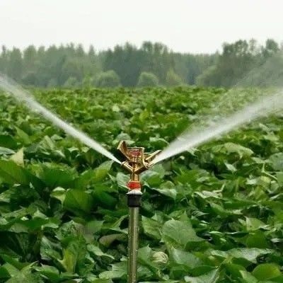 Hydroponik-Glasgewächshaus mit Schattierungsschirm-System Paket Bruttogewicht 80.000kg