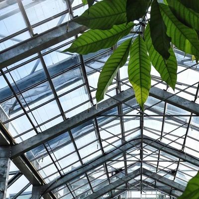 Glasgewächshaus für den hydroponischen Gemüseanbau Gesamtgewicht 80.000 kg