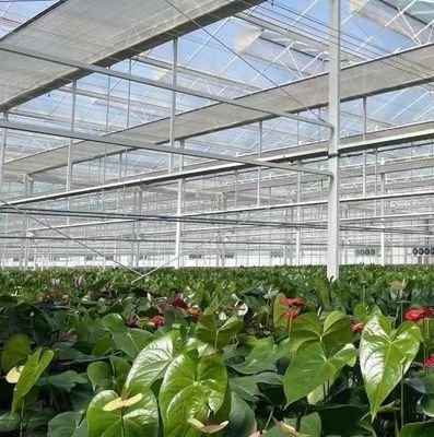 US Float Single Span Gewächshaus für Gemüse/Früchte/Blumen und Rückerstattungen