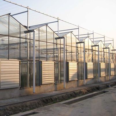 Pflanzenbaumbau Mehrfachschattierungssystem Gewächshaus in Stahlkonstruktion