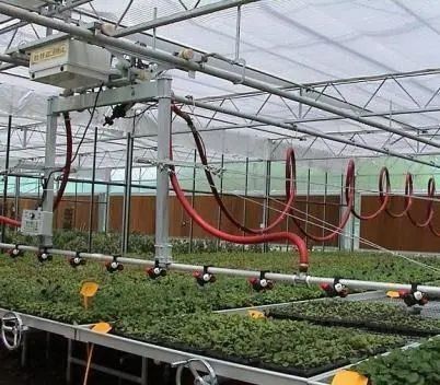 Pflanzenbaumbau Mehrfachschattierungssystem Gewächshaus in Stahlkonstruktion