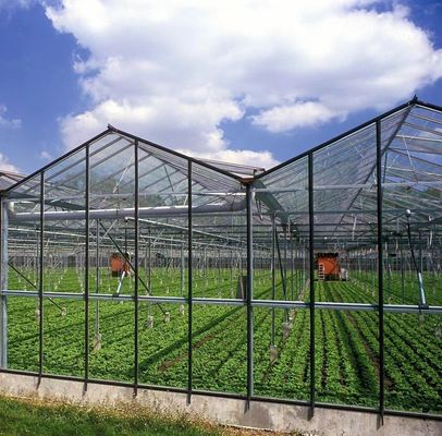 Pflanzenbaumbau Mehrfachschattierungssystem Gewächshaus in Stahlkonstruktion