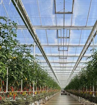Pflanzenbaumbau Mehrfachschattierungssystem Gewächshaus in Stahlkonstruktion
