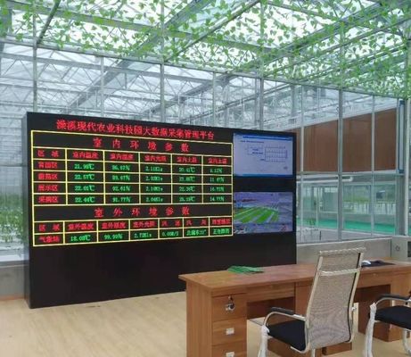 Gewerbliches Gewächshaus JX-h0075 Hydroponisches Anbausystem für die Gemüseproduktion