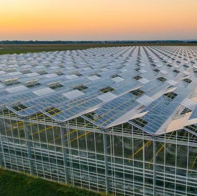 Gewerbliches Gewächshaus JX-h0075 Hydroponisches Anbausystem für die Gemüseproduktion