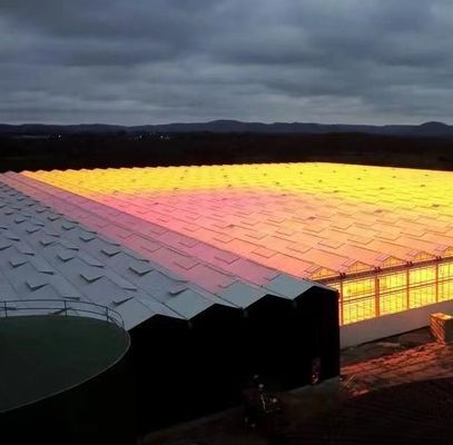Stahlstruktur Venlo Hydroponik-Anbausystem für den hydroponischen Gemüseanbau