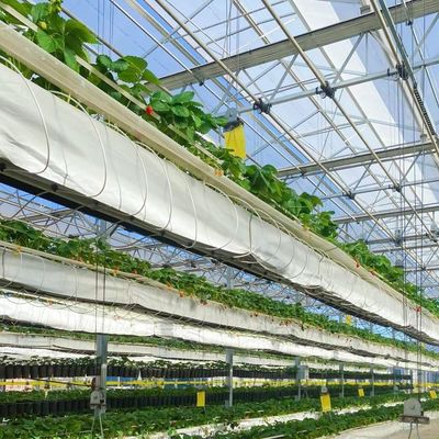 Hydroponisches Anbausystem Glasgewächshaus für Doppelschichtdachform