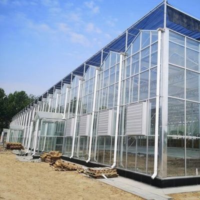 Hydroponisches Anbausystem Glasgewächshaus für Doppelschichtdachform