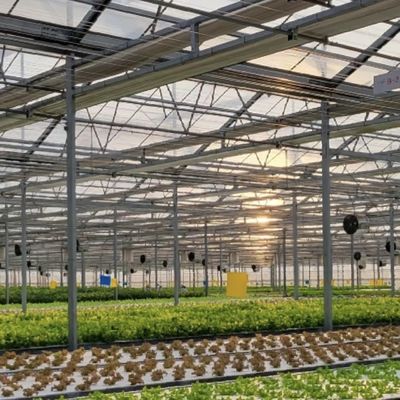 Hydroponisches Anbausystem Glasgewächshaus für Doppelschichtdachform