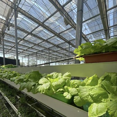 Hydroponisches Anbausystem Glasgewächshaus für Doppelschichtdachform