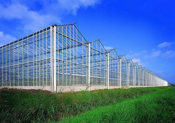 80.000kg Paket Bruttogewicht Glasgewächshaus mit Hydroponik und Versandkosten