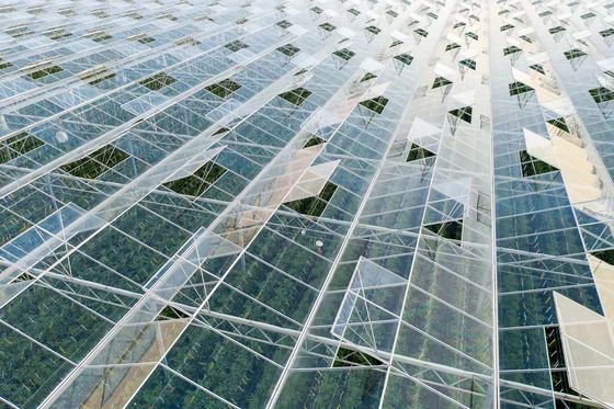 80.000kg Paket Bruttogewicht Glasgewächshaus mit Hydroponik und Versandkosten
