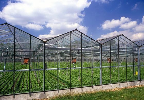 80.000kg Paket Bruttogewicht Glasgewächshaus mit Hydroponik und Versandkosten