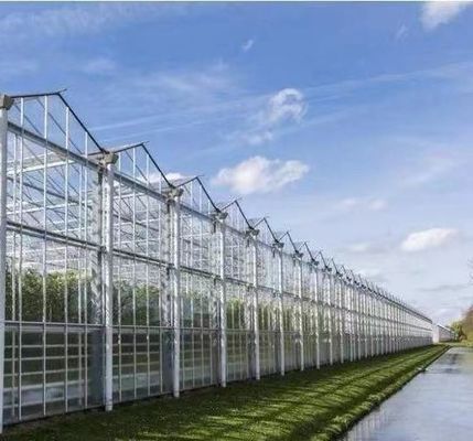 Doppelschichtiger Gemüseanbau Gewächshaus mit Tropfbewässerung und Stahlstruktur