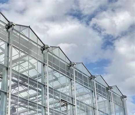 Typ Dachhydroponik-Anbausystem für die Anforderungen Ihres Kunden