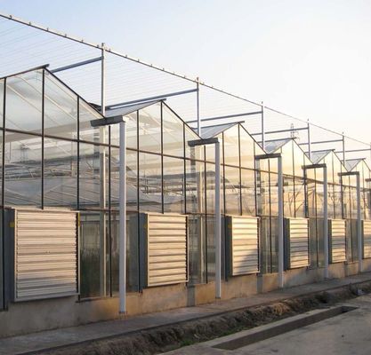 Typ Dachhydroponik-Anbausystem für die Anforderungen Ihres Kunden