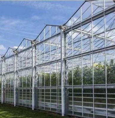 Typ Dachhydroponik-Anbausystem für die Anforderungen Ihres Kunden