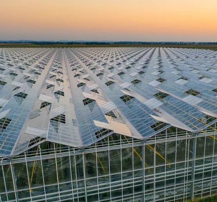 Typ Dachhydroponik-Anbausystem für die Anforderungen Ihres Kunden