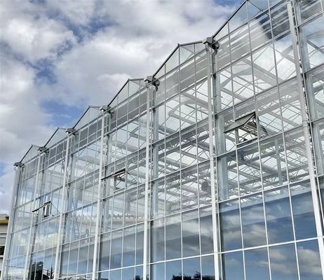 Gewächshaus mit Hydroponik