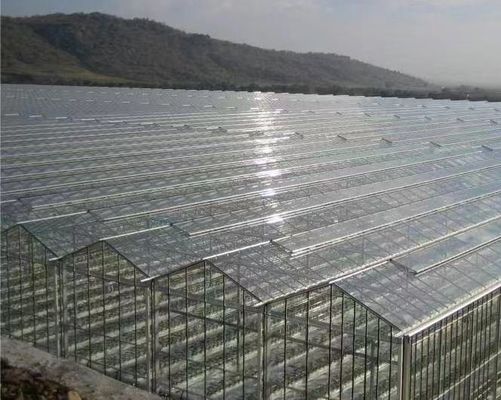 Gute Lichtdurchlässigkeit Glasdeckel Venlo Gewächshaus mit Anpassungsoption
