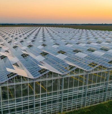 Gute Lichtdurchlässigkeit Glasdeckel Venlo Gewächshaus mit Anpassungsoption