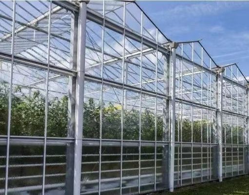 Gute Lichtdurchlässigkeit Glasdeckel Venlo Gewächshaus mit Anpassungsoption